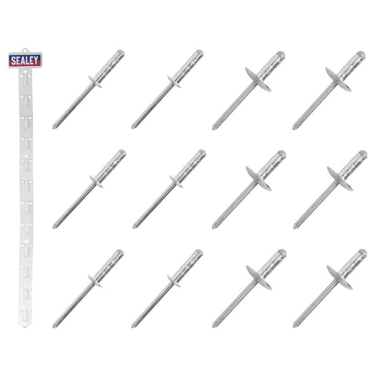 Sealey RVSET Clip Strip Deal Aluminium Rivets