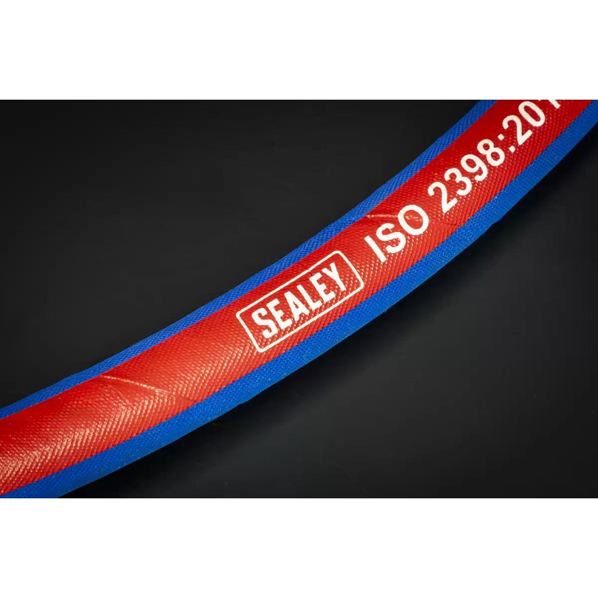 Sealey AH30R Extra-Heavy-Duty Air Hose with 1/4
