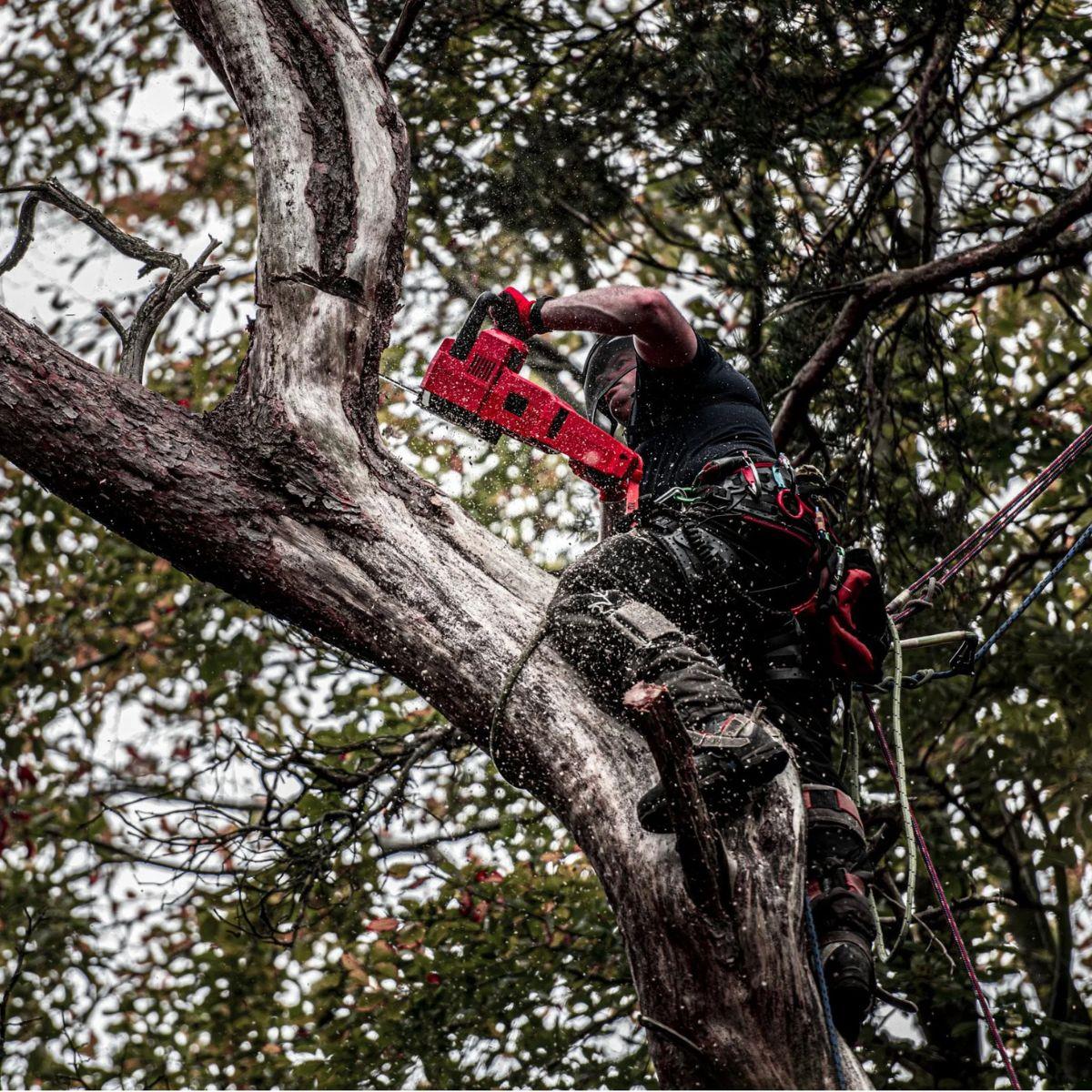 Milwaukee M18FCHS-122 18V FUEL Brushless 40cm Chainsaw with 2 x 12.0Ah Battery & Charger 4933499218