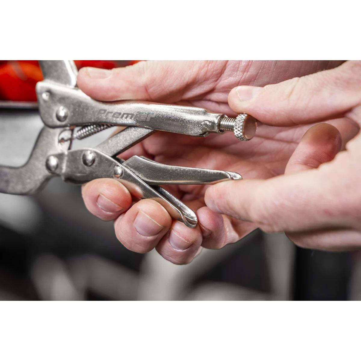 Sealey AK6802 Premier Locking Pliers Set with Tool Tray 10pc