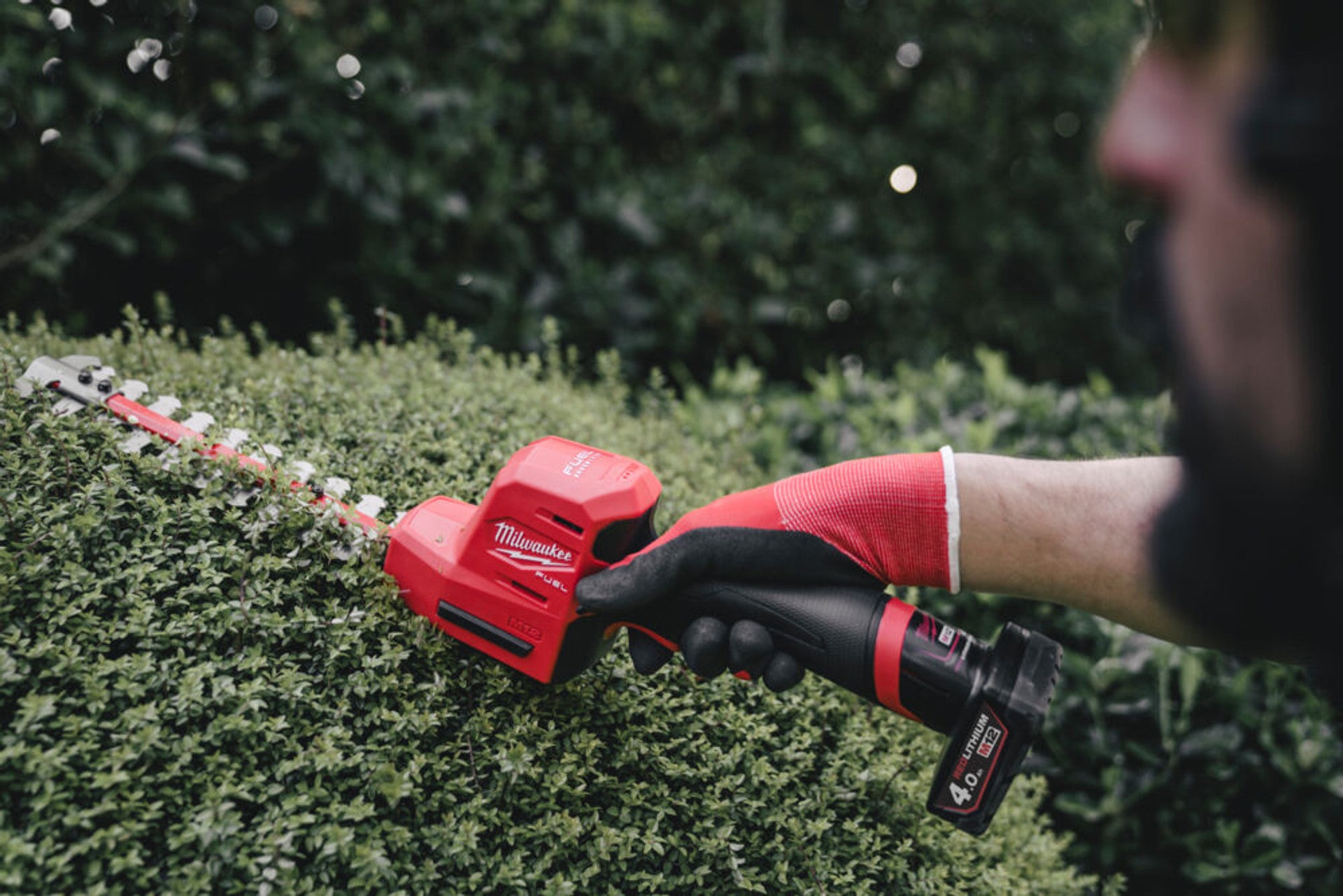 Milwaukee M12FHT20-402 12V Fuel Hedge Trimmer 20cm with 2 x 4.0Ah Battery 4933479973