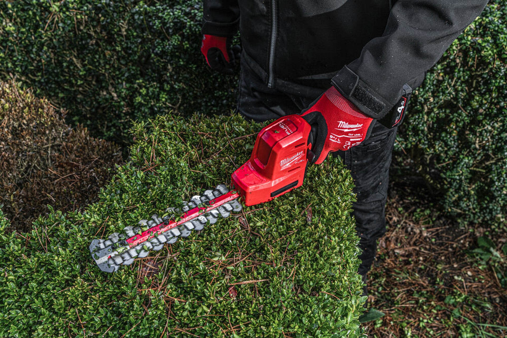 Milwaukee M12FHT20-402 12V Fuel Hedge Trimmer 20cm with 2 x 4.0Ah Battery 4933479973