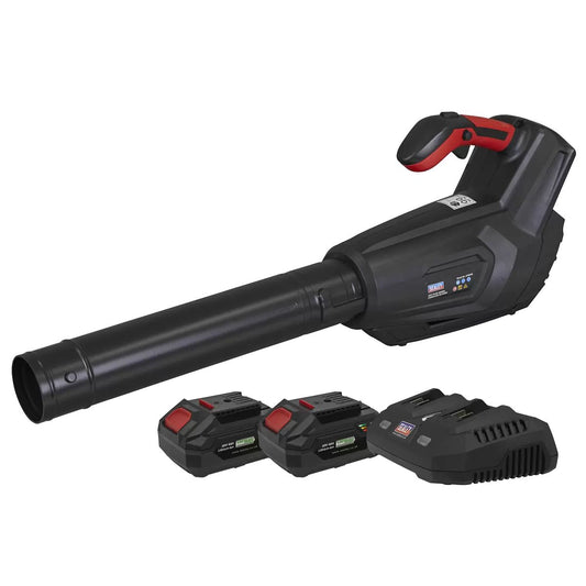 Sealey CP40VBKIT 40V Cordless Leaf Blower With 2 x 4.0Ah Battries & Charger