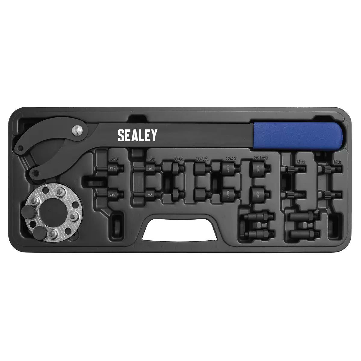 Sealey VS754 24pc Pulley Holding/Turning Set