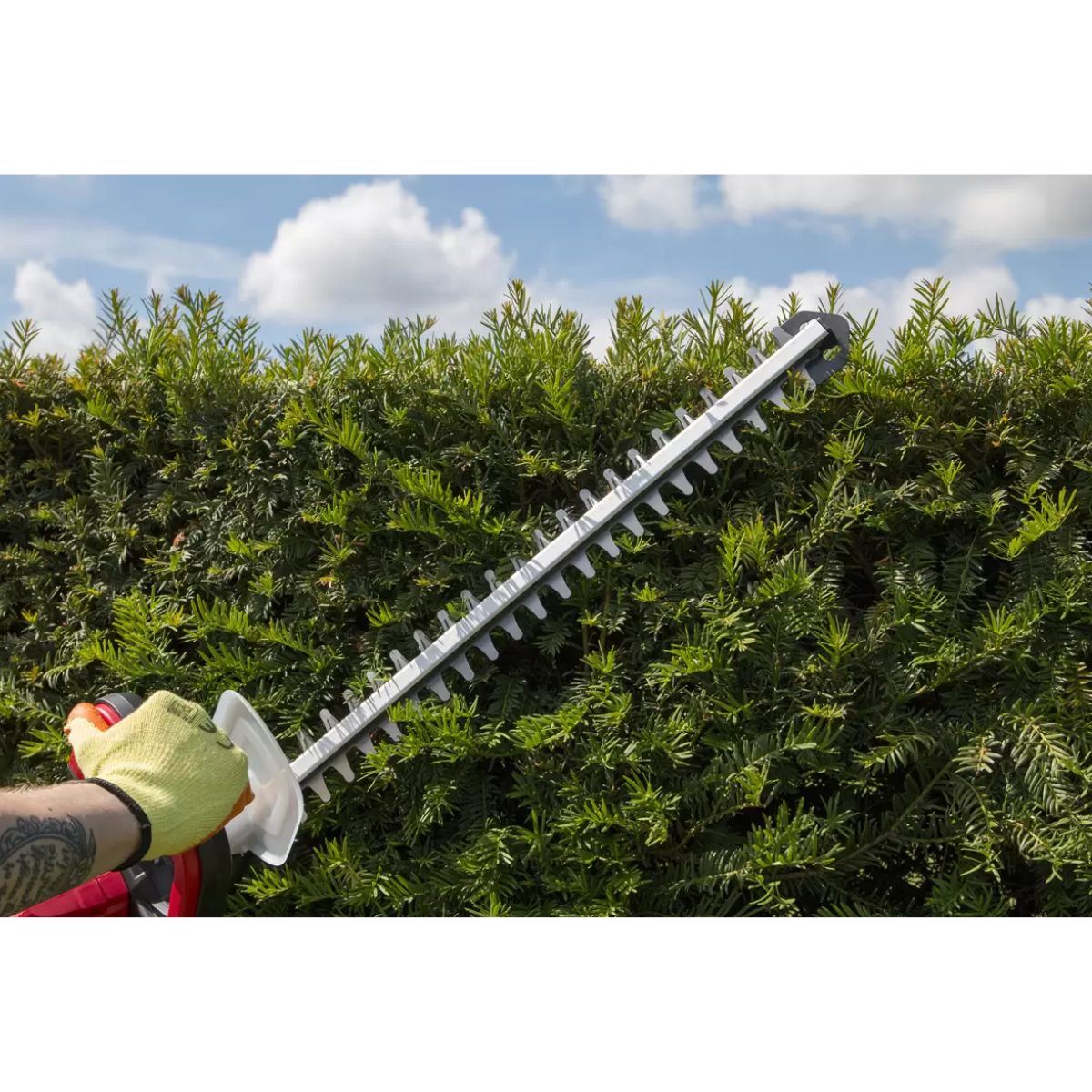 Sealey CHT20VCOMBO2 Hedge Trimmer Cordless 20V with 2Ah Battery & Charger