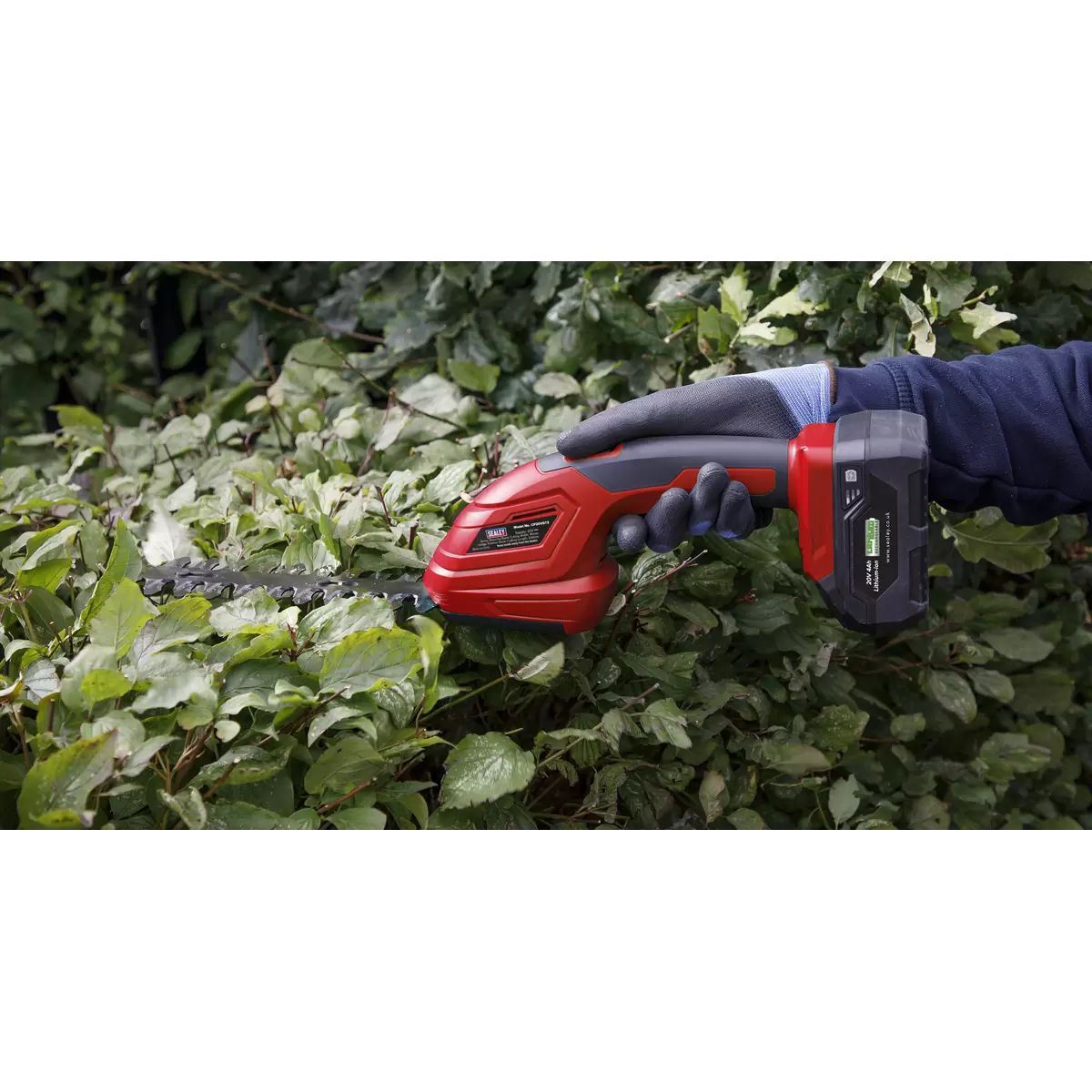 Sealey CP20VCOMBO14 2x20V Gardening/Pruning Cleaning Combo Kit