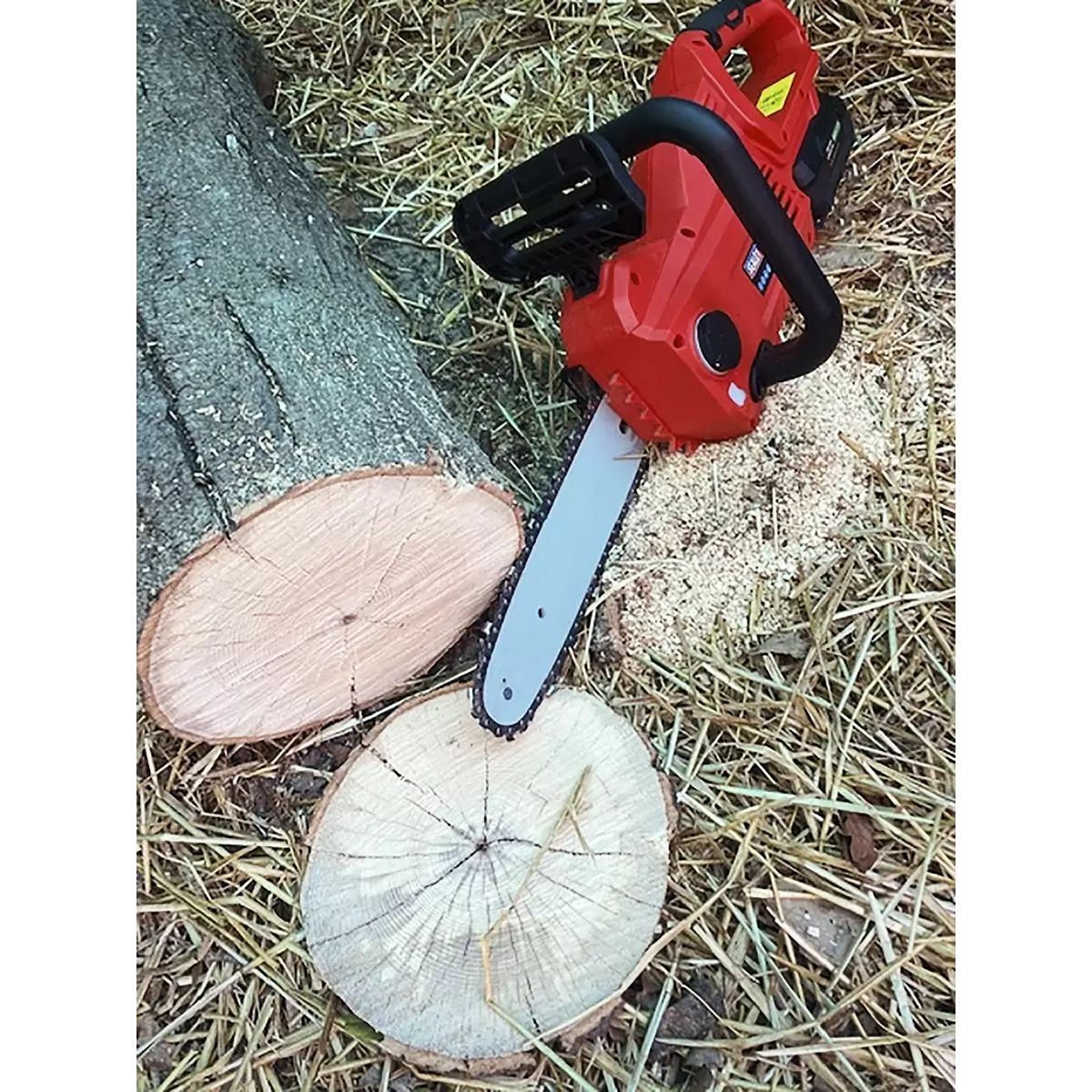 Sealey CP20VCHSKIT 20V Chainsaw 25cm Kit with 2 Batteries & Charger