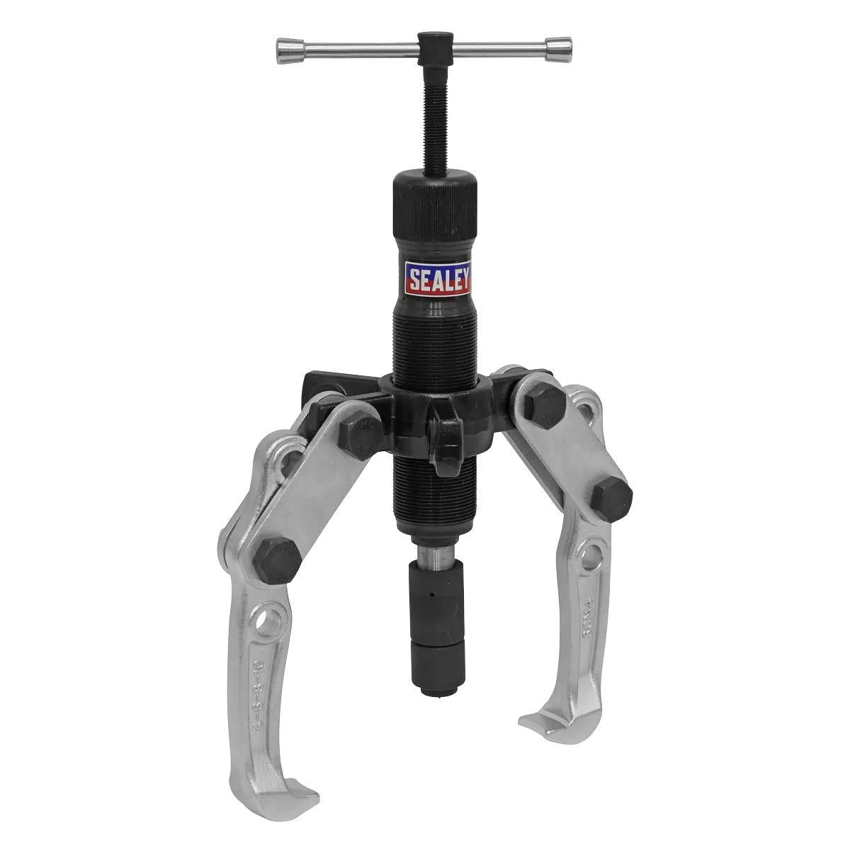 Sealey PS981 Hydraulic Puller Set 19pc
