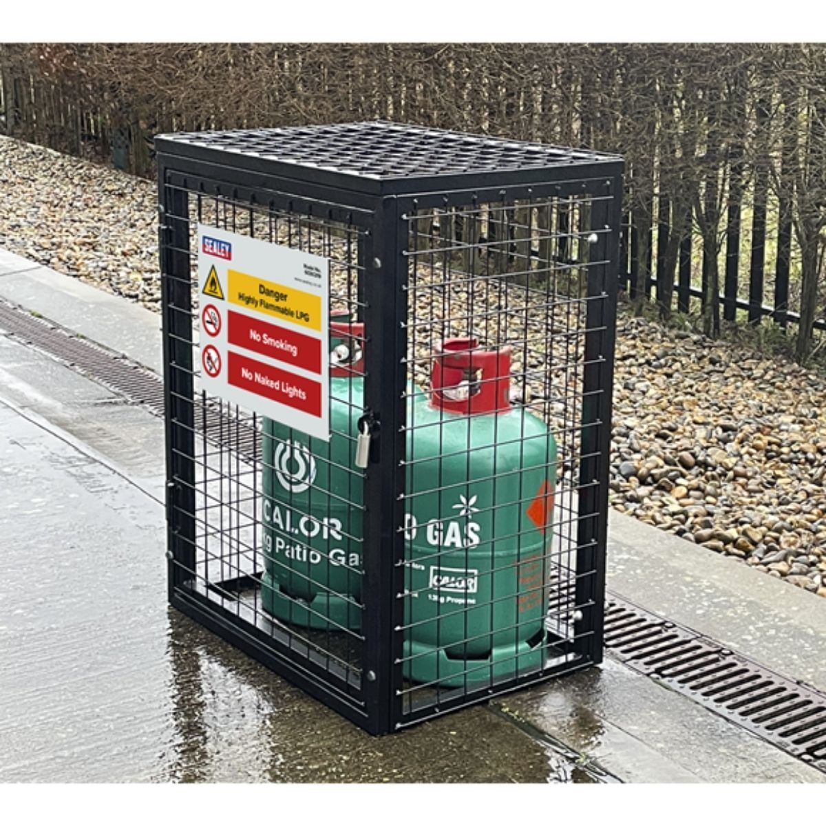 Sealey GCSC219 Gas Cylinder Safety Cage