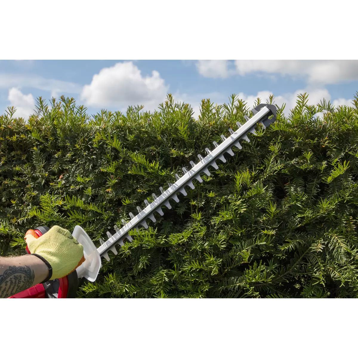 Sealey CHT20VCOMBO4 Hedge Trimmer Cordless 20V with 1 x 4Ah Battery & Charger