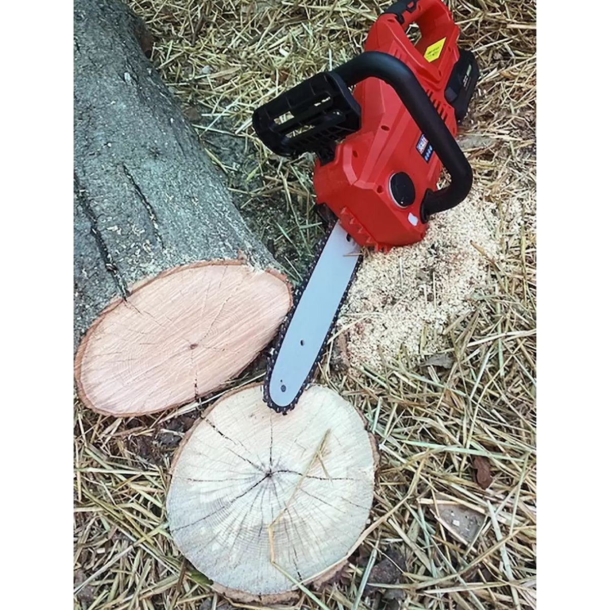 Sealey CP20VCHSKIT1 Cordless Chainsaw 25cm 20V Kit 4Ah