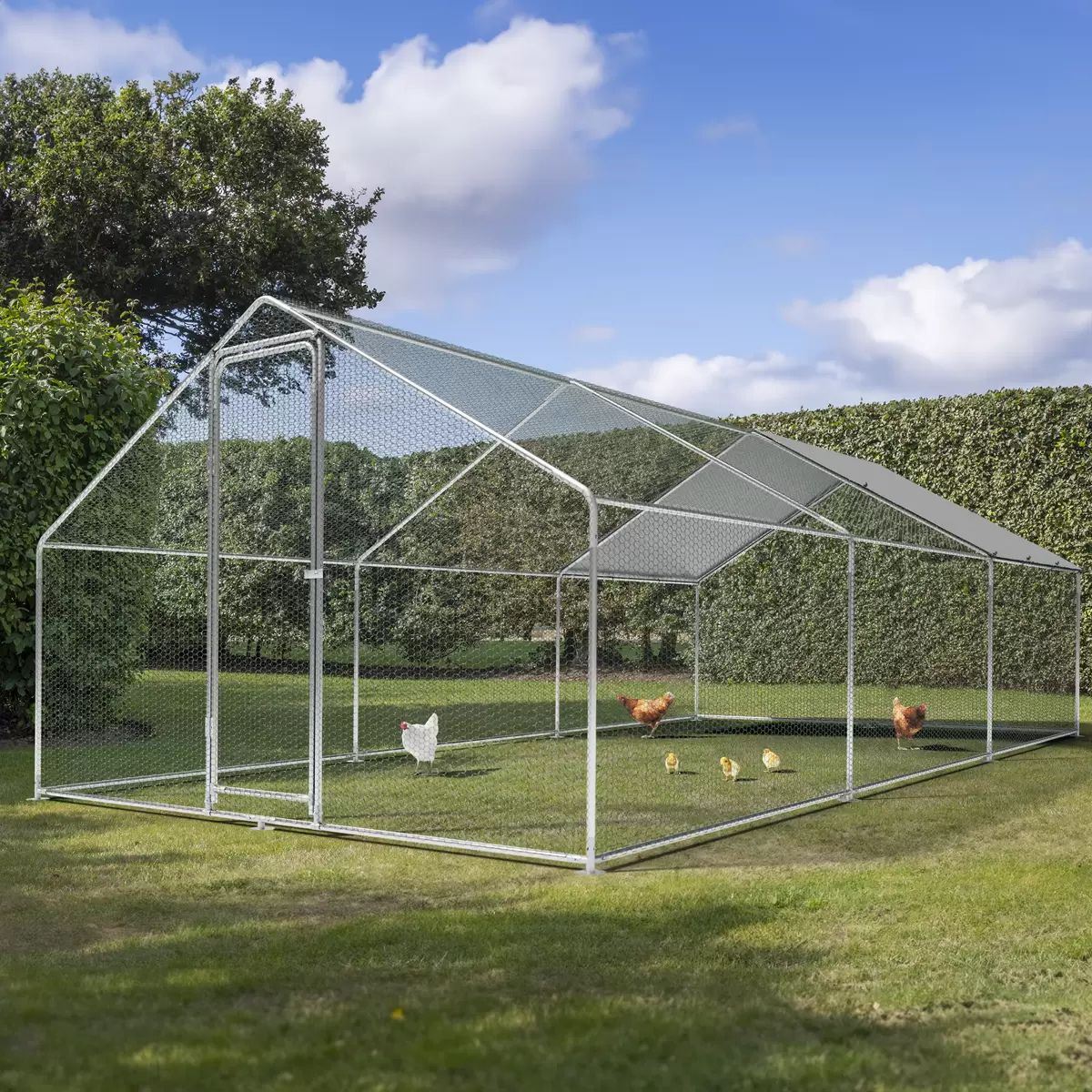 Sealey DG280 Dellonda 3 x 6 x 2m Walk-In Chicken Run, Galvanized Steel, Roof Cover & PVC Coated Chicken Wire