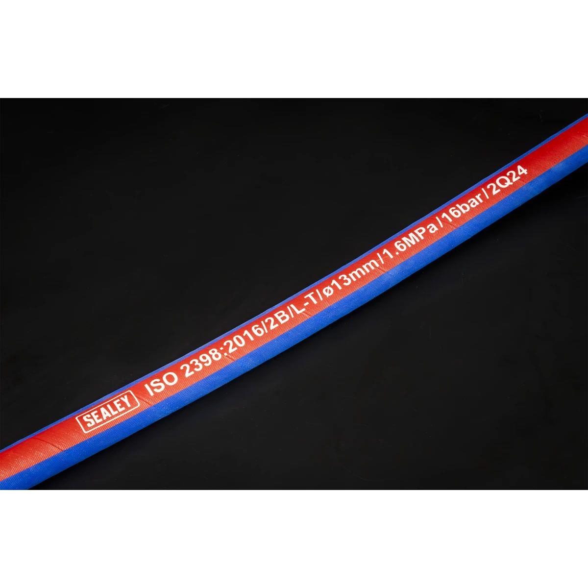 Sealey AH20R/12 Air Hose with 1/2