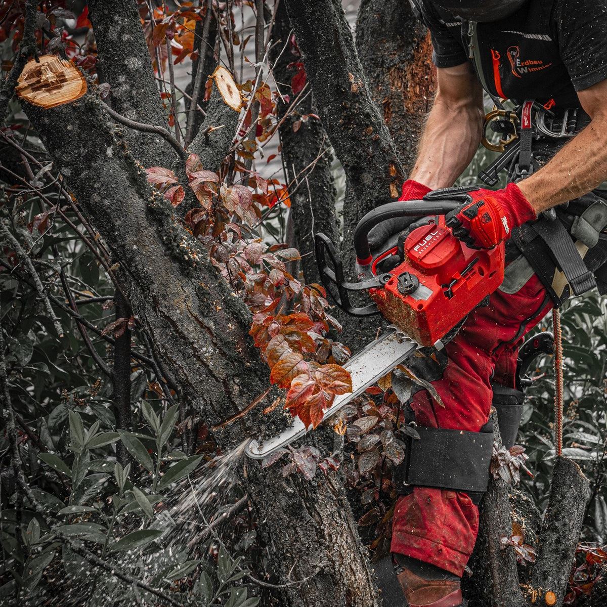 Milwaukee M18FTHCHS35-802 M18 Fuel 18V Chainsaw 35cm Bar with 2 x 8.0Ah Batteries & Charger 4933479991