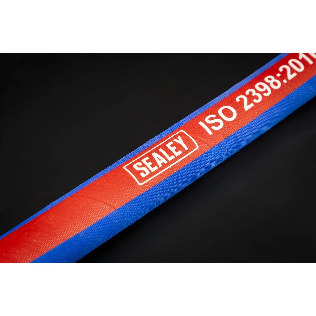 Sealey AH20R/12 Air Hose with 1/2