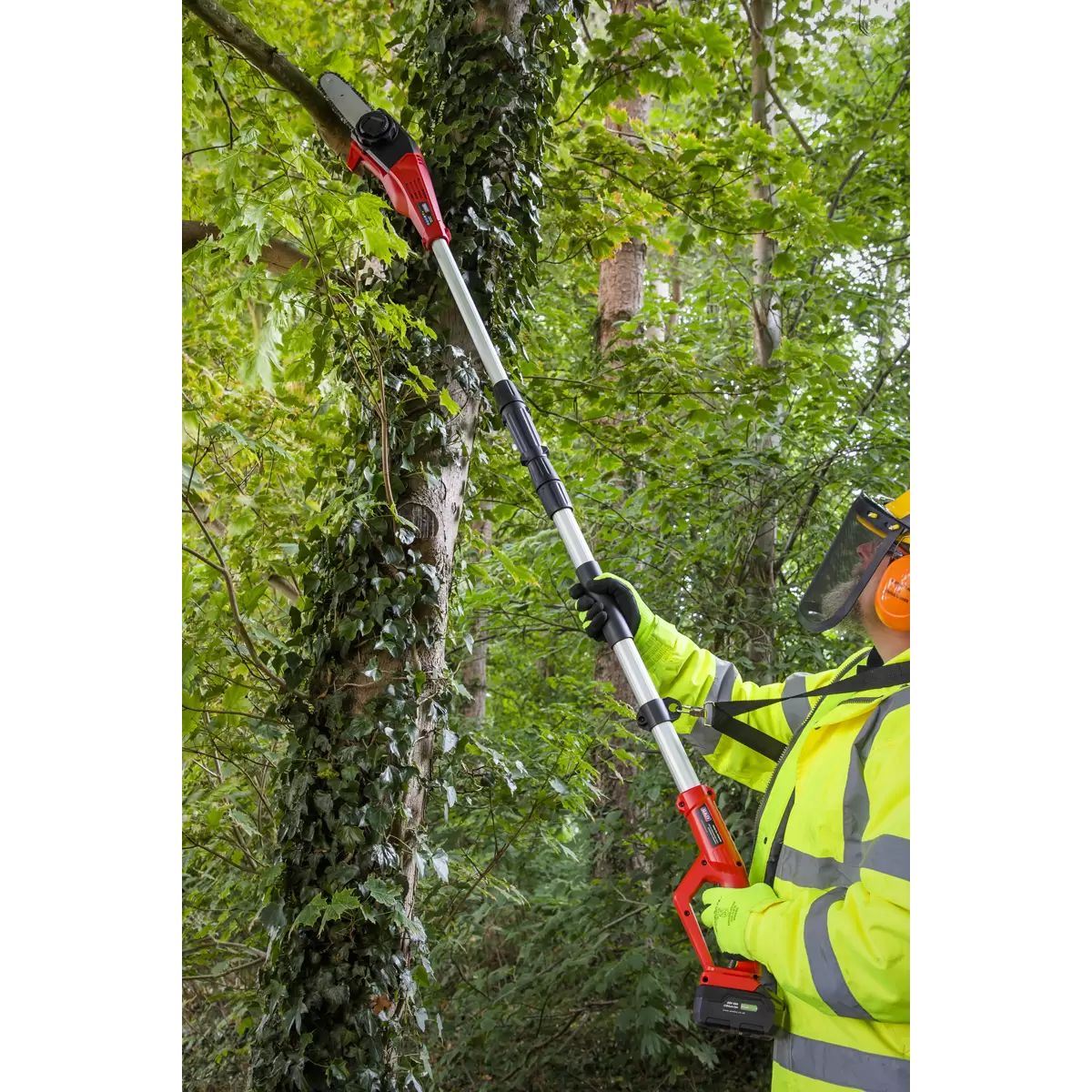 Sealey CP20VTP02 20V Telescopic Cordless 20cm Chainsaw Kit