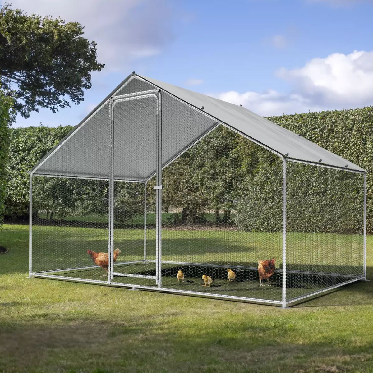 Sealey DG278 Dellonda 3 x 2 x 2m Walk-In Chicken Run, Galvanized Steel, Roof Cover & PVC Coated Chicken Wire