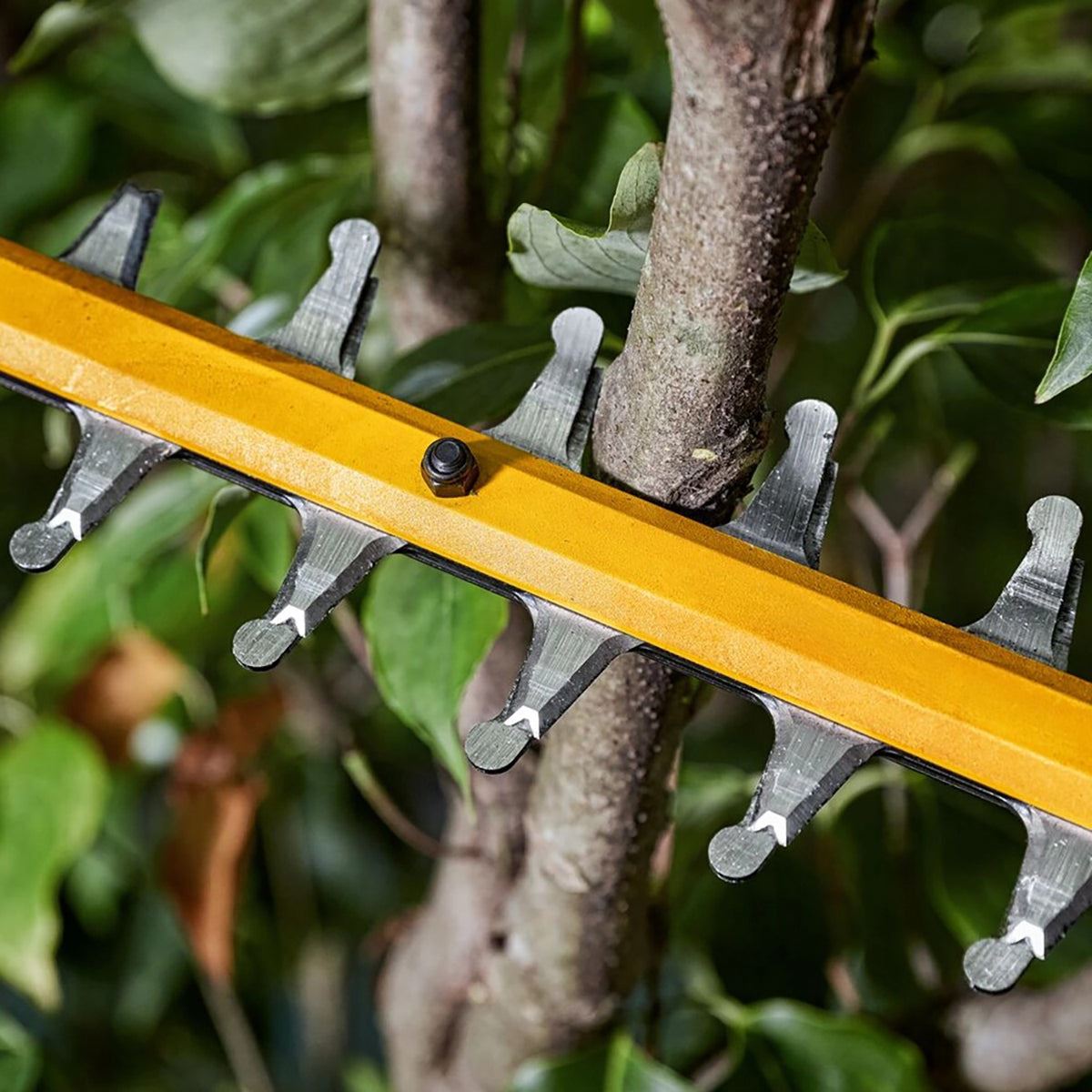 Dewalt DCMHT573N-XJ 54V XR FlexVolt Brushless 65cm Hedge Trimmer with 1 x 6.0Ah Battery & Charger