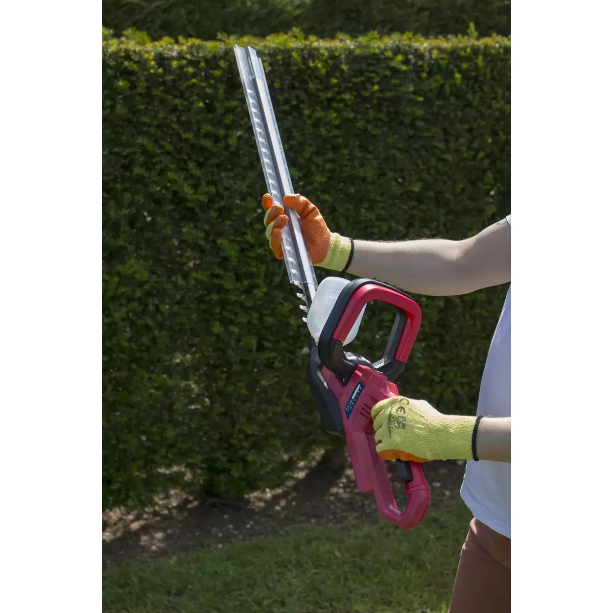Sealey CHT20VCOMBO2 Hedge Trimmer Cordless 20V with 2Ah Battery & Charger