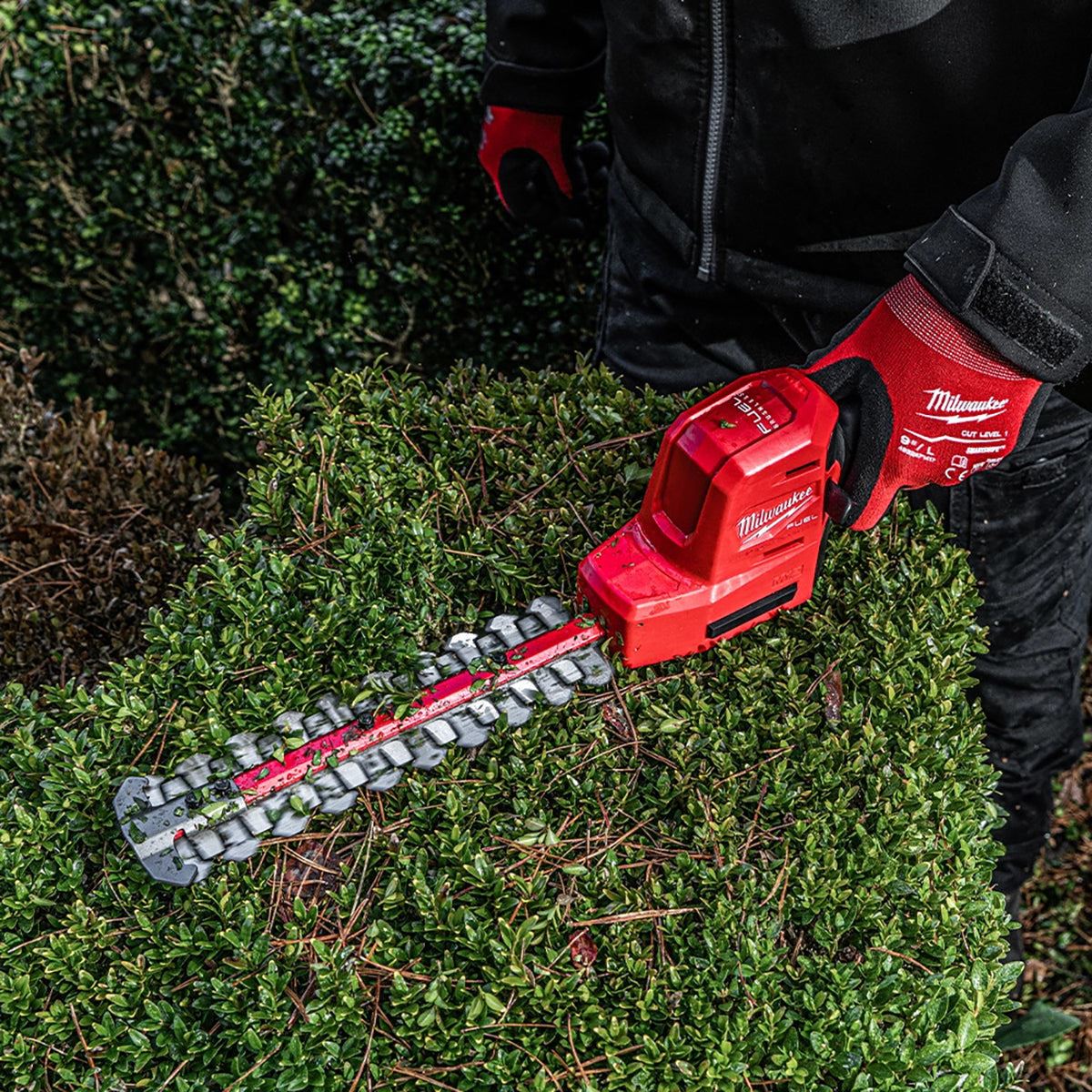 Milwaukee M12FHT20-0 12V Brushless 20cm Hedge Trimmer with 1 x 5.0Ah Battery & Charger
