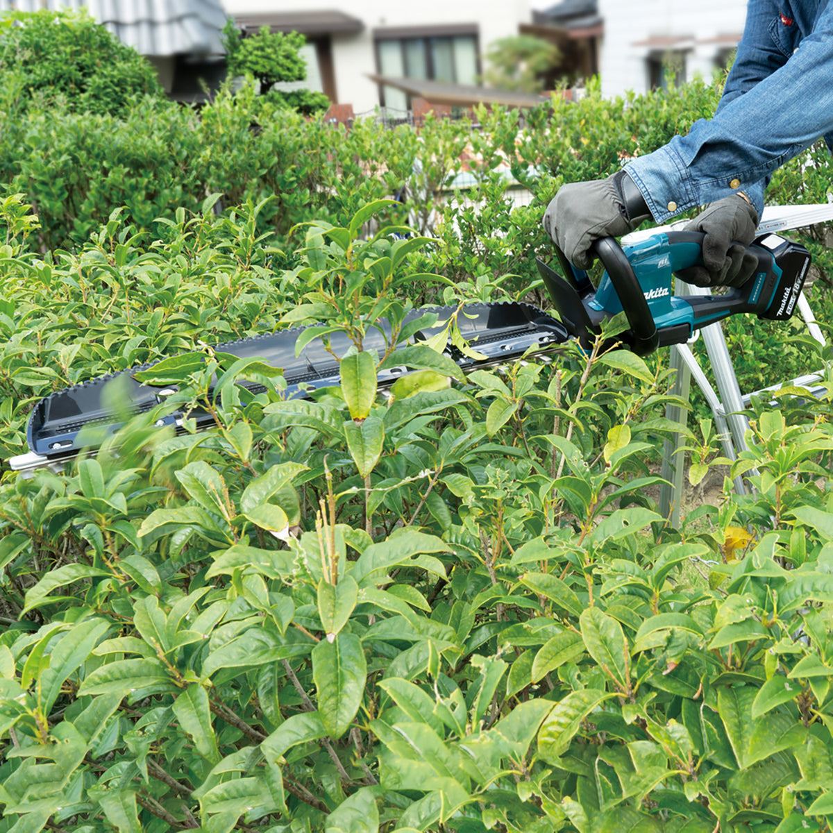 Makita DUH606RT 18V LXT Brushless 60cm Hedge Trimmer With 1 x 5.0Ah Battery & Charger