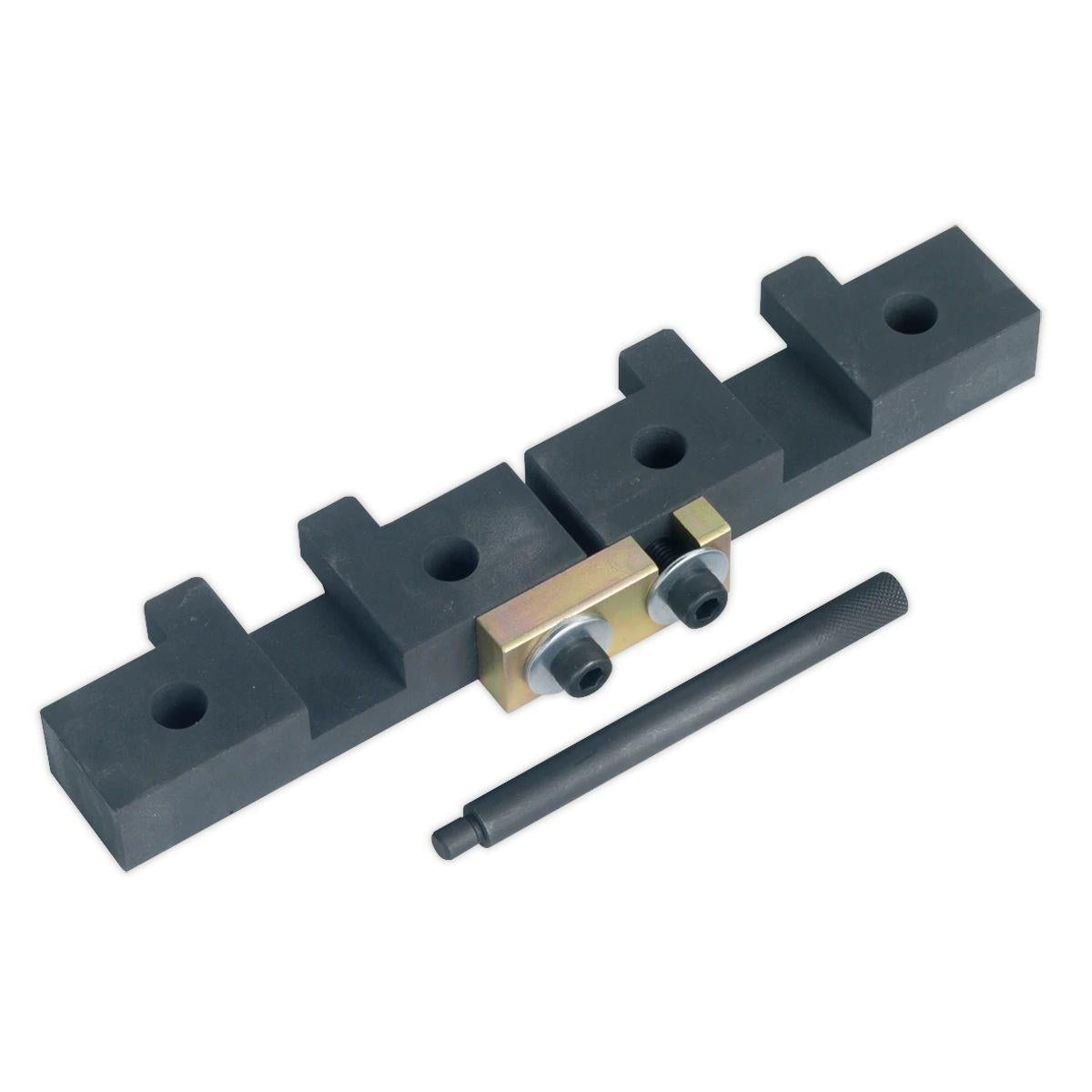 Sealey VSE4425 Petrol Engine Timing Tool Kit For BMW M42/M50/M52/M52TU/M54/M56 Chain Drive