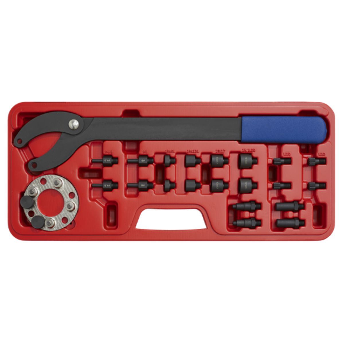 Sealey VS754 24pc Pulley Holding/Turning Set