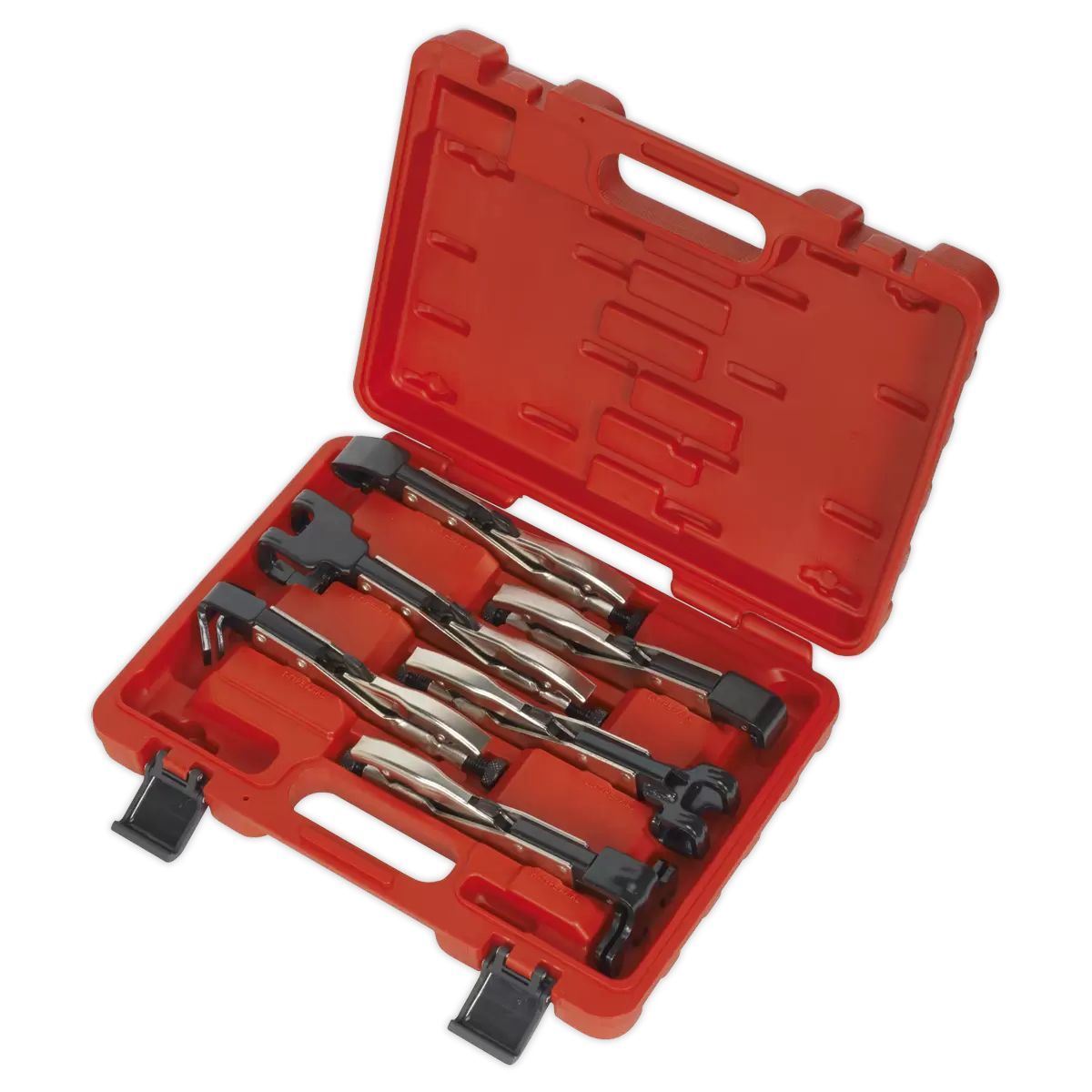 Sealey AK68403 Axial Locking Grip Set 6 Piece