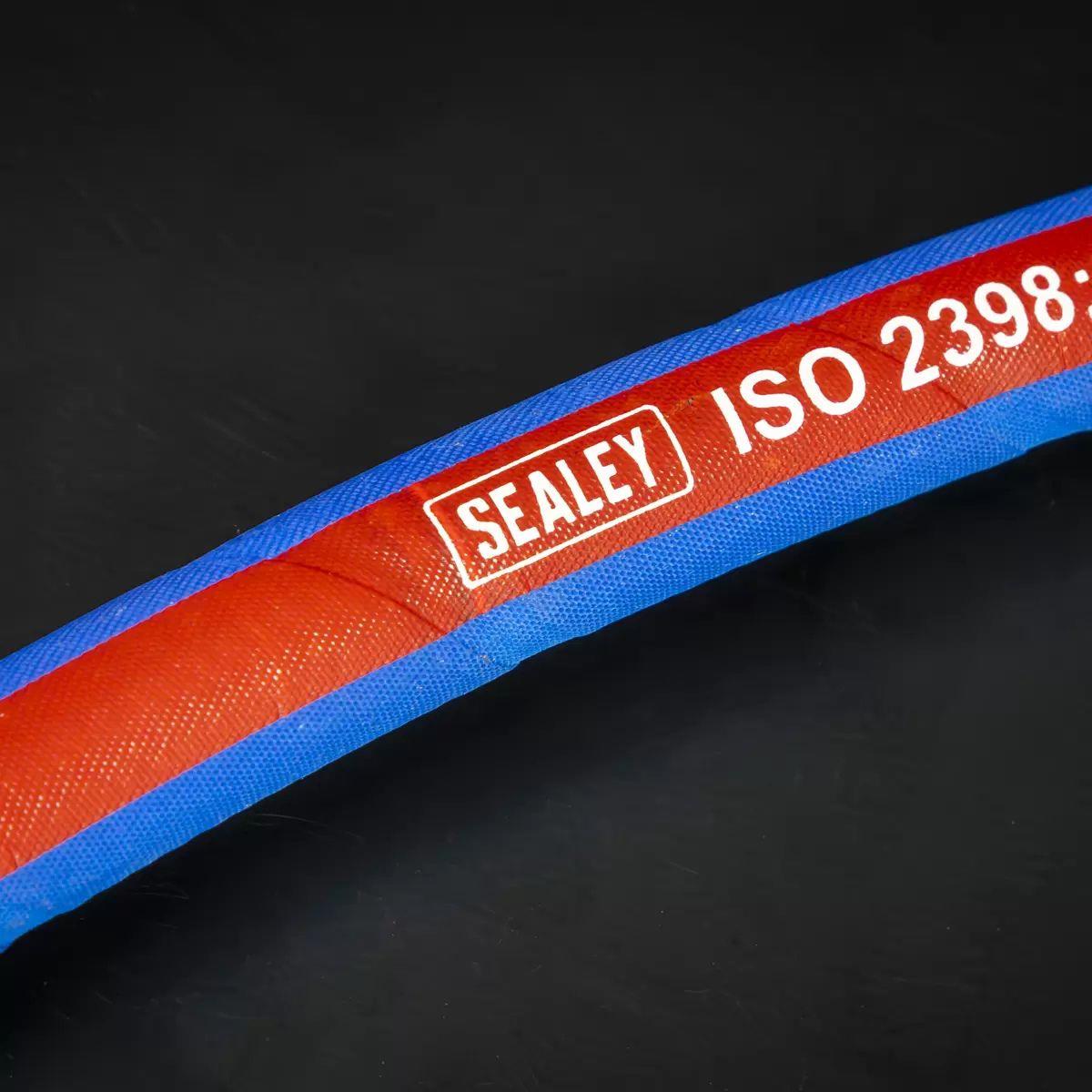 Sealey AH30R/38 Extra-Heavy-Duty Air Hose with 1/4