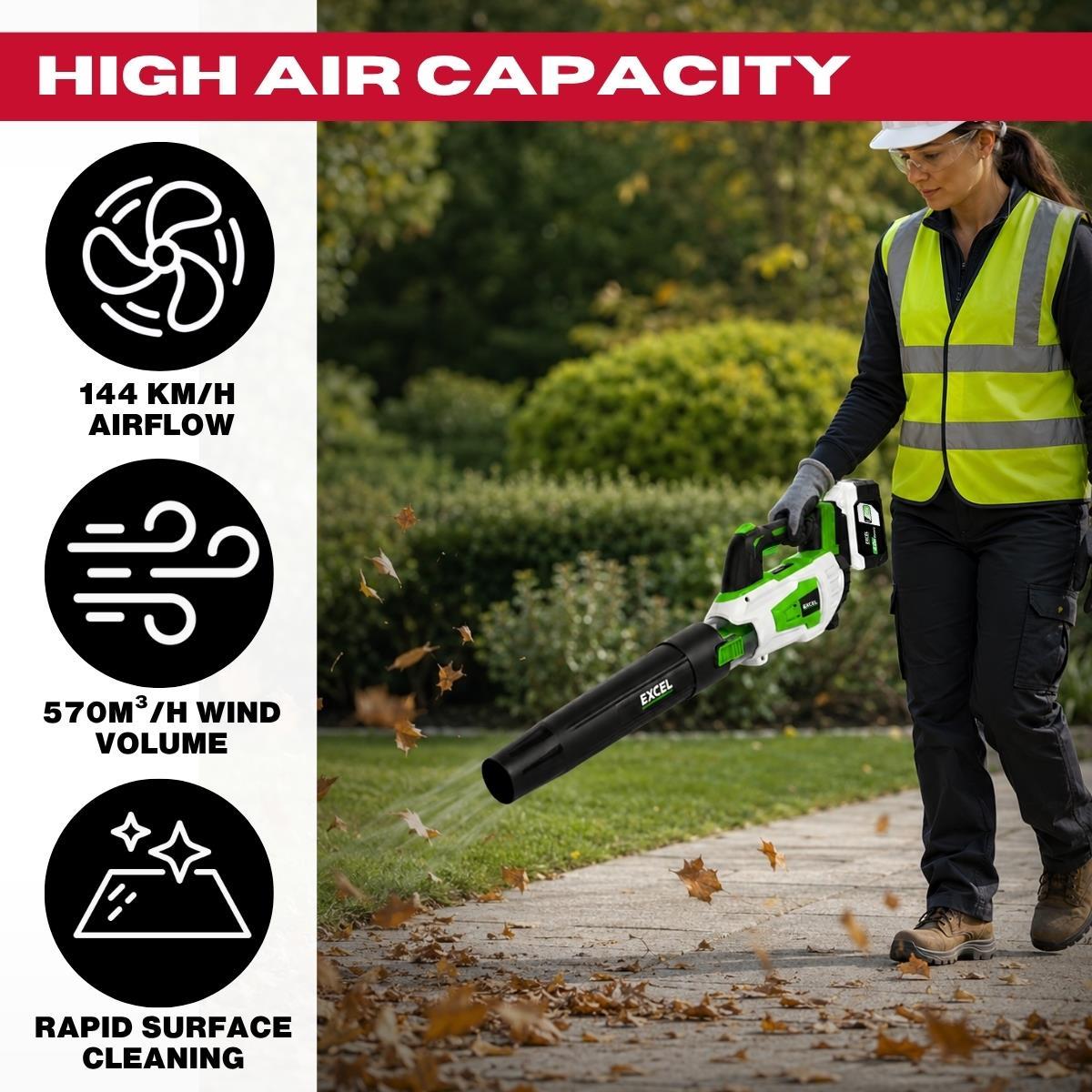 Excel 20V Leaf Blower with Turbo Mode & 1 x 4.0Ah Battery, Charger
