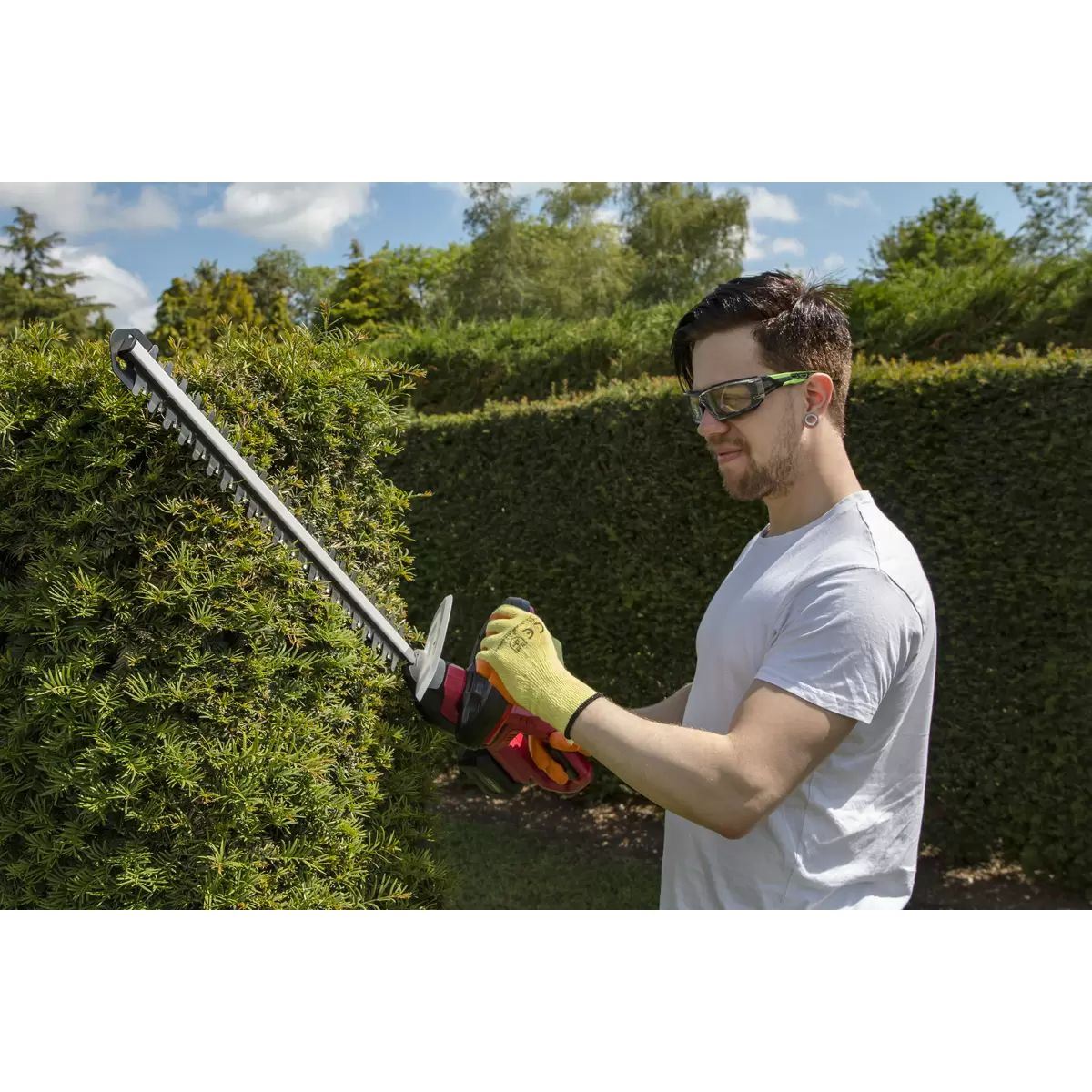 Sealey CHT20VCOMBO2 Hedge Trimmer Cordless 20V with 2Ah Battery & Charger